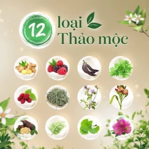 Fresh thảo dược với 12 loại thảo mộc