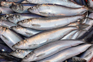 omega 3 tốt cho tim mạch